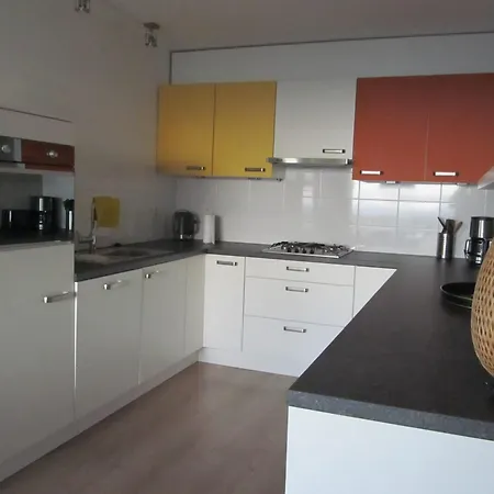 Dolfijn Egmond aan Zee