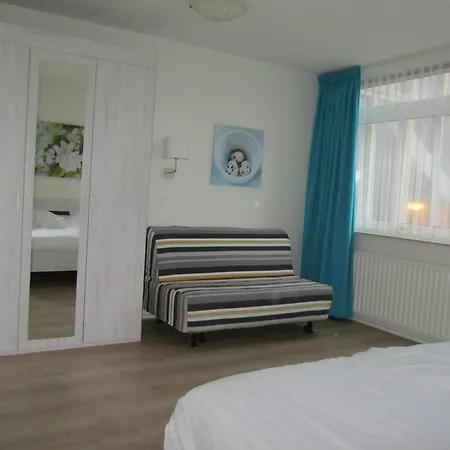 Dolfijn * Egmond aan Zee