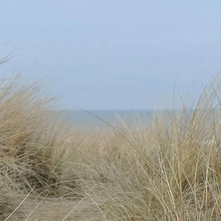 Dolfijn Apartament *