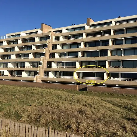 Dolfijn