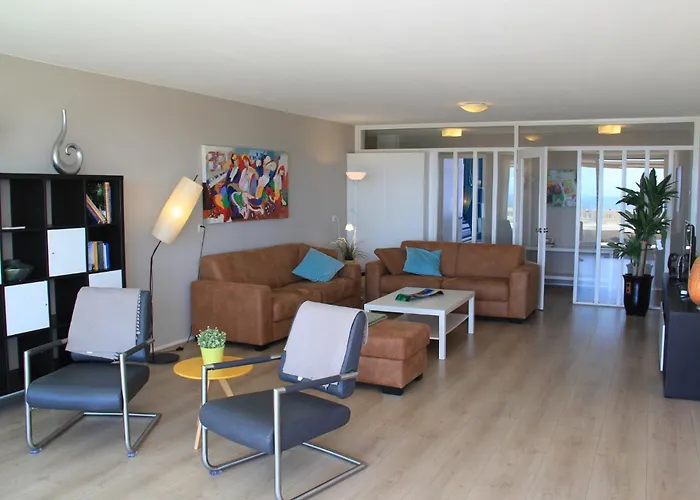 Dolfijn Egmond aan Zee