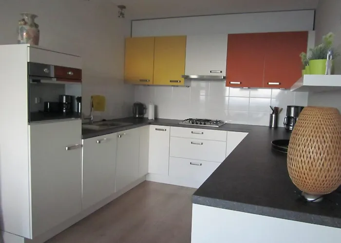 Dolfijn Egmond aan Zee