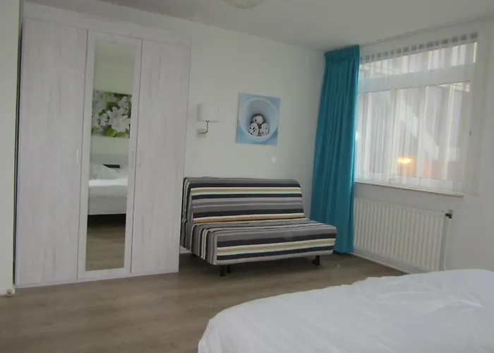 Dolfijn * Egmond aan Zee