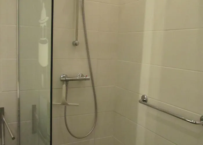 Dolfijn Egmond aan Zee