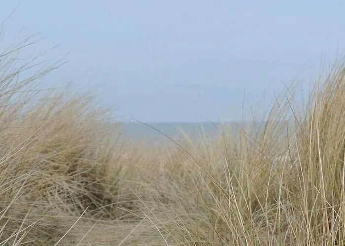 Dolfijn Apartament *