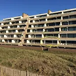 Dolfijn
